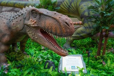 Foto: Arnaldo Carvalho / especial para o RioMar Recife