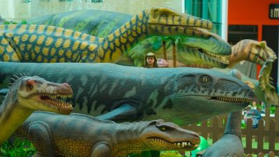 Foto: Arnaldo Carvalho/Especial para o RioMar Recife