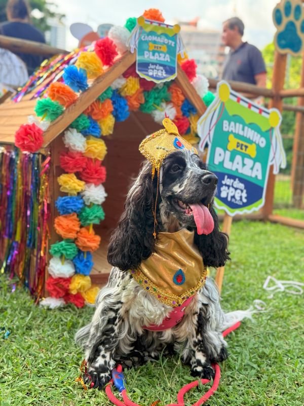 Foto: divulgação/Bianca Branco