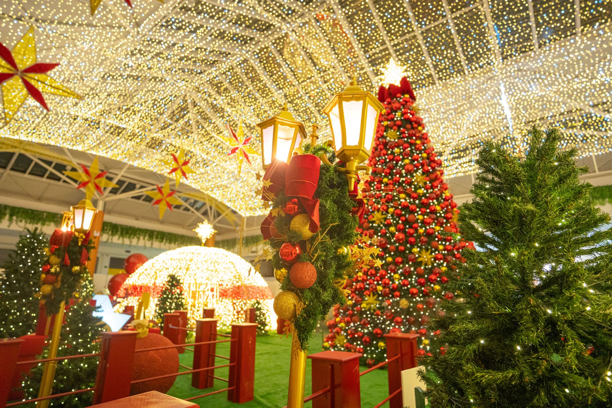 Foto: Compota Filmes