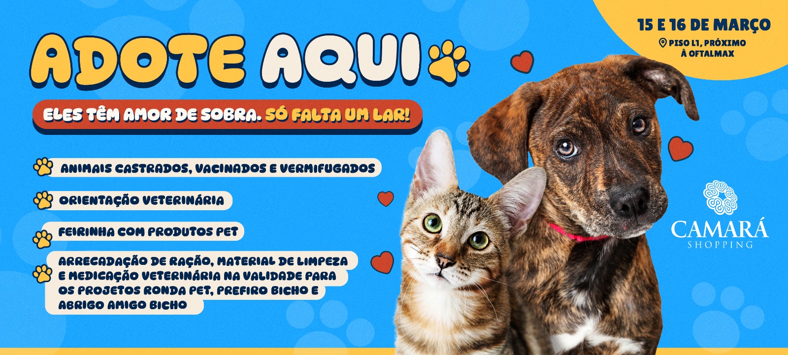 Foto: divulgação