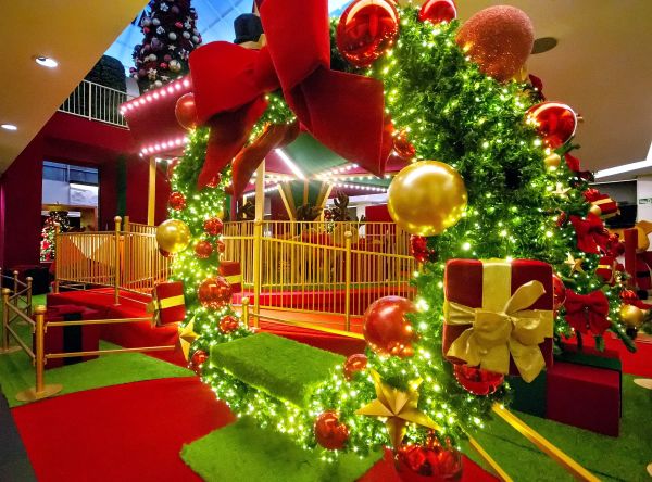 Foto: Thiago Medeiros